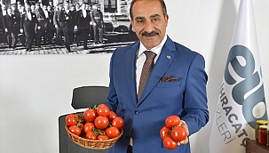 Domates ürünlerinde ihracat, 10 ayda yarım milyar dolara yaklaştı