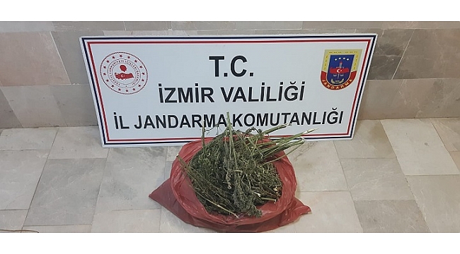 İzmir'deki uyuşturucu operasyonu