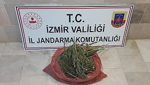İzmir'deki uyuşturucu operasyonu