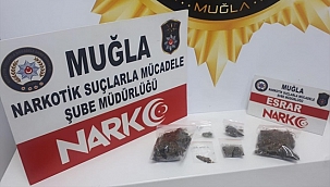 Muğla'da uyuşturucu operasyonunda 4 kişi tutuklandı