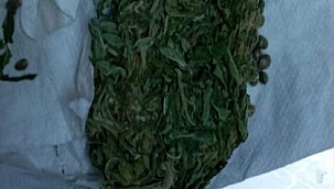 Sarıgöl'de uyuşturucu operasyonu