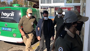 Sokak köpeğini av tüfeğiyle öldürdüler