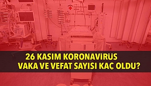 Türkiye'de son 24 saatte 174 kişi hayatını kaybetti