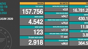 Türkiye'de son 24 saatte korona'dan 123 kişi öldü