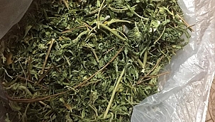 Uyuşturucu bulunan araçtaki 2 kişi gözaltına alındı