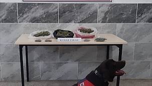 Aydın'da 300 gram esrar ele geçirildi