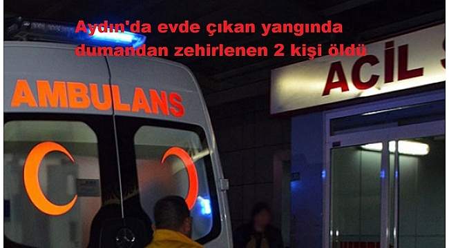 Aydın'da evde çıkan yangında dumandan zehirlenen 2 kişi öldü