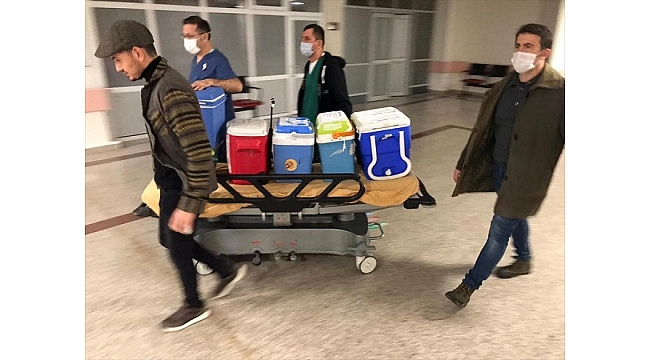 Beyin ölümü gerçekleşen hastanın organları 3 kişiye umut oldu