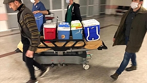 Beyin ölümü gerçekleşen hastanın organları 3 kişiye umut oldu