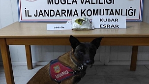 Cezaevinden izinli çıkan kişi uyuşturucuyla yakalandı
