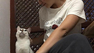 Datçalı hayvanseverlerden 'Köpük'ün vurulmasına tepki