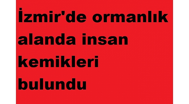 İzmir'de ormanlık alanda insan kemikleri bulundu
