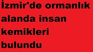 İzmir'de ormanlık alanda insan kemikleri bulundu