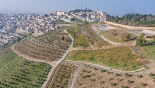 Kadifekale’yi bir de baharda görün