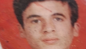 Kamyonun çarptığı yaya hayatını kaybetti