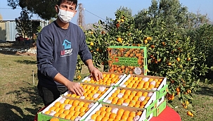 Lösemiyi yenen genç, kanser hastalarının yardımına koştu