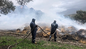Muğla'da çıkan yangında 600 saman balyası zarar gördü
