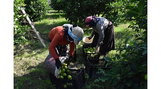 Rusya ve İtalya pazarı için mesai yapıyor