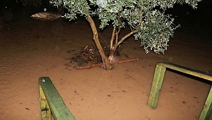 Sağanak Foça'nın kırsal mahallelerini vurdu