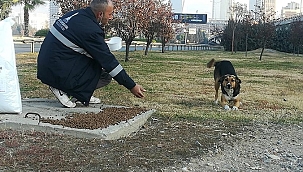 Sokakta yaşayan hayvanlar unutulmadı