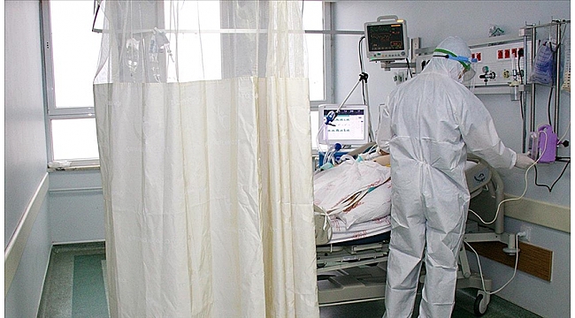 Son 24 saatte 257 kişi hayatını kaybetti