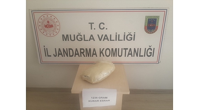Taksideki müşterinin elindeki saksıda esrar ele geçirildi