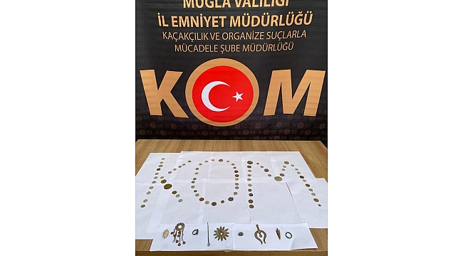 Tarihi eser operasyonunda bir şüpheli yakalandı