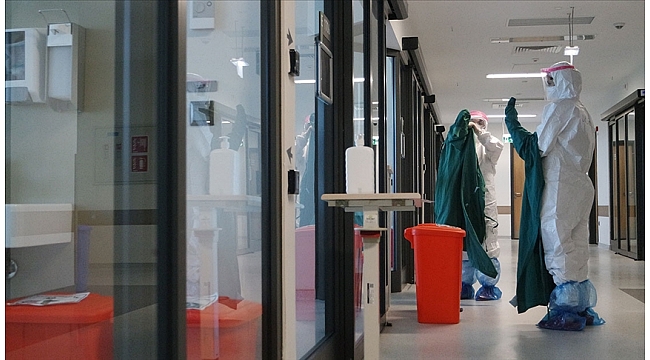 Türkiye'de son 24 saatte 195 kişi hayatını kaybetti