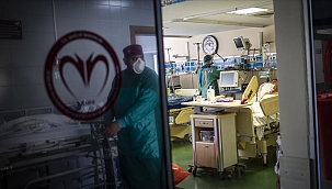 Türkiye'de son 24 saatte 246 kişi öldü