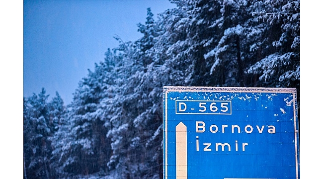 İzmir' kar sevinci