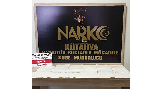 Kütahya'da uyuşturucu operasyonunda 2 şüpheli yakalandı