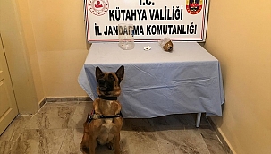 Kütahya'da uyuşturucu operasyonunda 2 şüpheli yakalandı