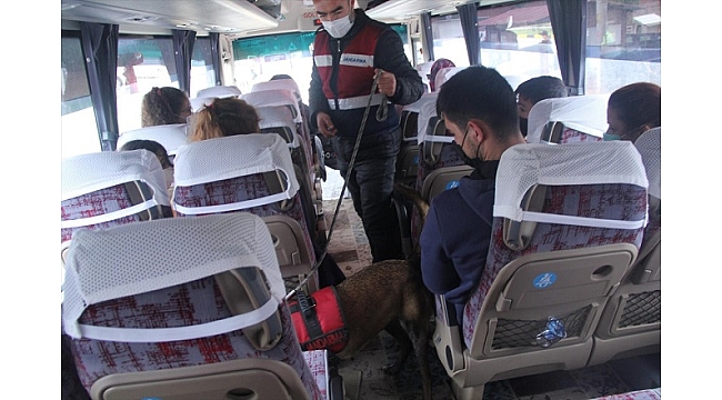 Valizinden uyuşturucu çıktı,tutuklandı