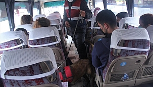 Valizinden uyuşturucu çıktı,tutuklandı