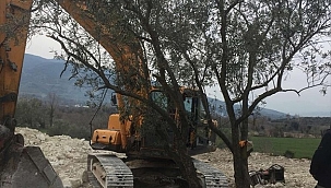 Aydın'da kaçak kazı yapan 7 kişi yakalandı