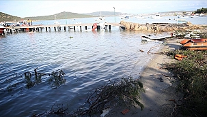 Ayvalık'ta hortum ve şiddetli yağış hasara yol açtı