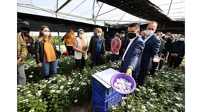 Çeşme ve Urla&#039;da zarar gören  tarım alanlarını inceledi