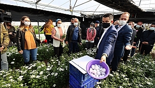 Çeşme ve Urla'da zarar gören tarım alanlarını inceledi