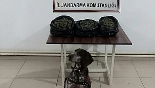 İzmir'de uyuşturucu operasyonunda 7 şüpheli yakalandı