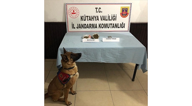 Kütahya'da uyuşturucu operasyonunda 3 şüpheli yakalandı