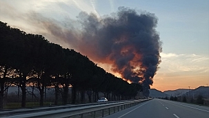 Manisa'da korkutan yangın