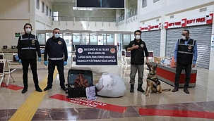 Narkotik köpeği 'Yappa' dan kaçamadı