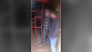 Tribün ve ring kurulan salonda horoz dövüştüren 34 kişiye para cezası