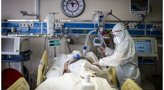 Türkiye'de 8 bin 103 kişinin Kovid-19 testi pozitif çıktı