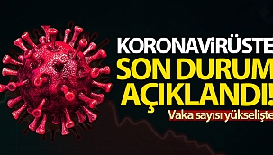 Türkiye’de son 24 saatte 7.795 koronavirüs vakası tespit edildi