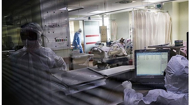 Türkiye'de son 24 saatte 7 bin 590 kişinin Kovid-19 testi pozitif çıktı