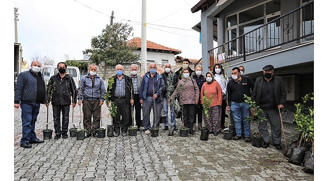 Buca’nın kırsal mahallelerine fidan desteği