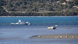 Çeşme'de deniz çekildi, tekneler karaya oturdu