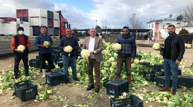 Korona virüs çiftçileri durduramadı