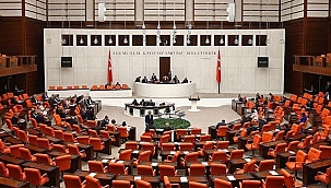 Meclis'te kabul edildi! Kadına yönelik şiddeti araştırma komisyonu kuruldu